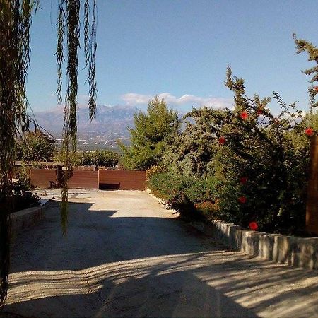 Gasthaus House Veggera - Private Swimming Pool Pombia Exterior foto